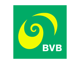 bvb_logo